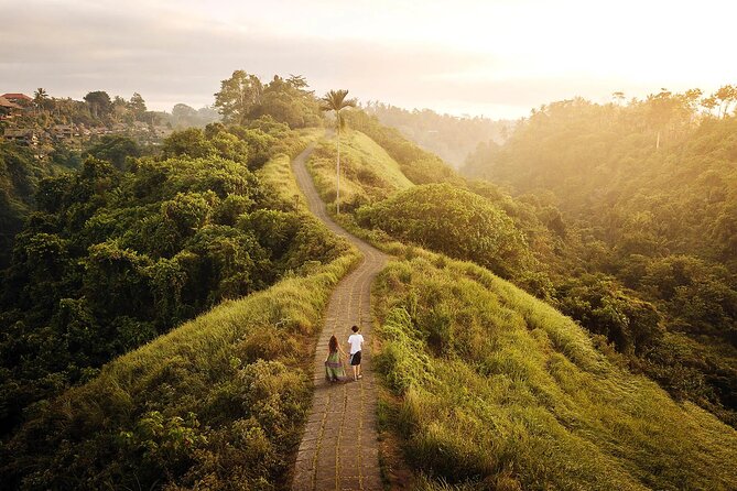 Ubud: Private Full Day Tour (All-in-One Complete) - Jungle Swing Experience