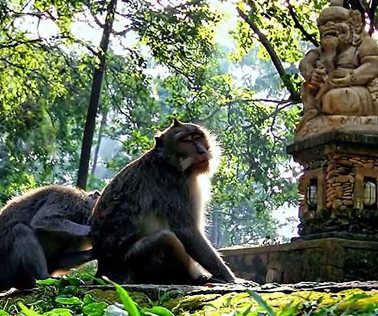 Ubud: Private Fullday Tour Nature & Culture With Transfers - Important Information