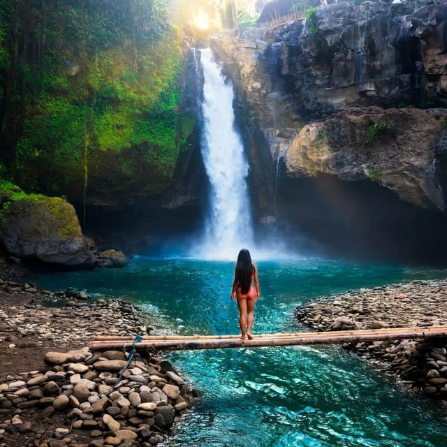 Ubud: Private Fullday Tour Nature & Culture With Transfers - Jungle Swing Adventure