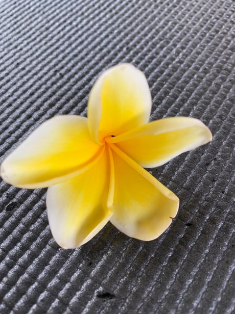 Ubud: Private Healing Service at Your Hotel or Villa - Customer Feedback