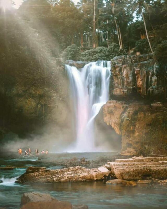 Ubud: Private Scenic Waterfalls and Rice Terraces Tour - Exploring Ubud’s Natural Wonders in Comfort and Style