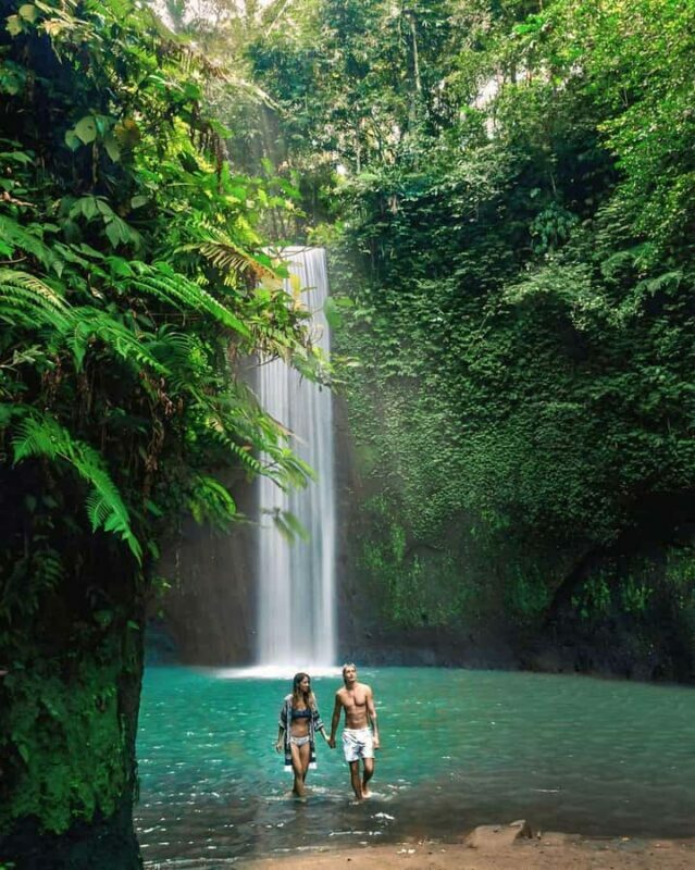 Ubud: Private Scenic Waterfalls and Rice Terraces Tour - The Value of a Private Tour