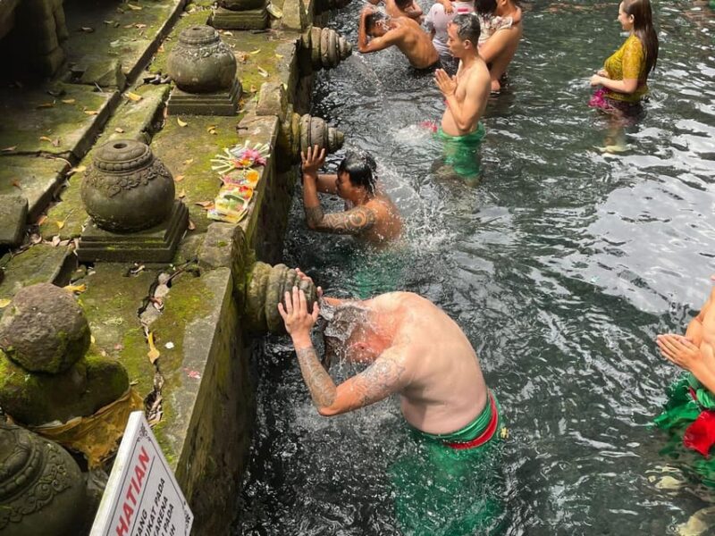 Ubud: Private Sightseeing Day Trip - Itinerary and Activities