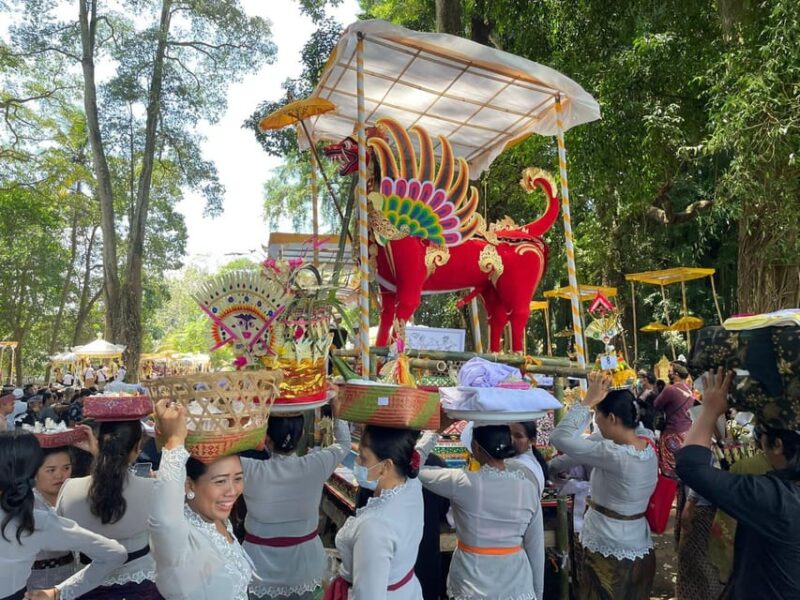 Ubud: Private Sightseeing Day Trip - Inclusions and Amenities