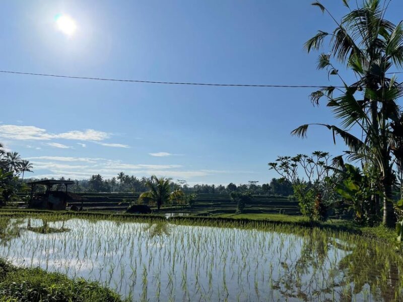 Ubud: Private Sightseeing Day Trip - Recommendations