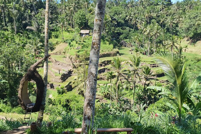 Ubud Private Tour - Private and Personalized Experience