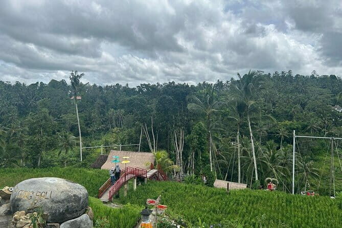 Ubud Private Tour From Cruise Port Benoa Bali All Inclusive - Some Considerations