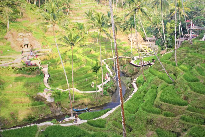 Ubud Private Tour : Ubud Temple and Authentic of Ubud - Accessibility and Recommendations