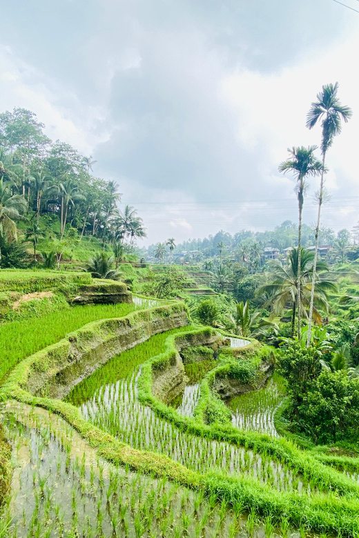 Ubud Private Tour With Bali Karma Journey - Tirta Empul Temple