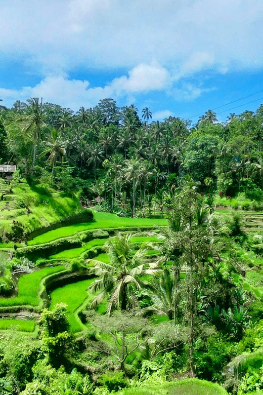 Ubud Private Tour With Driver-Guide - Inclusions