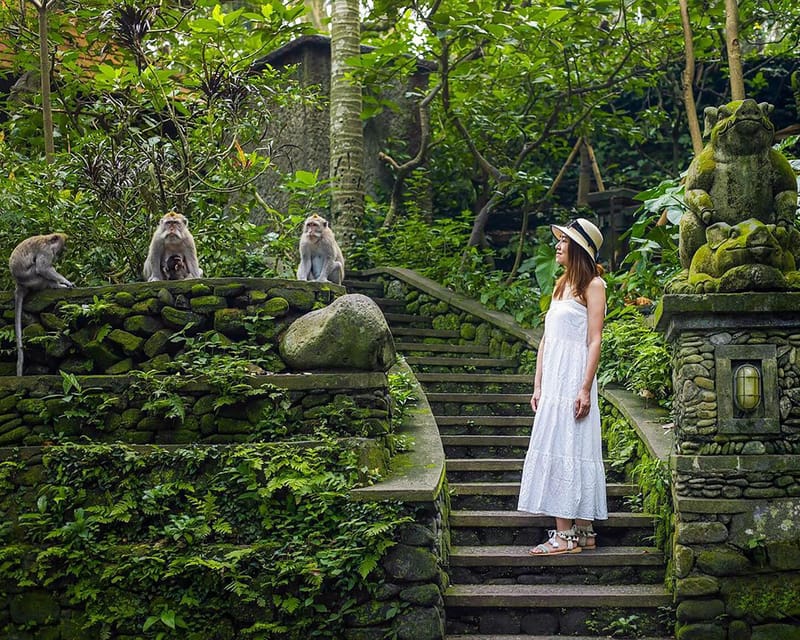 Ubud: Private Tour With Local Photographer - Pickup and Drop-off Locations
