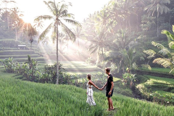 Ubud - Private Tour With Wifi Onboard - Pickup and Meeting Points