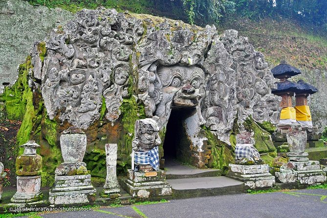 Ubud - Private Tour With Wifi Onboard - Health and Safety Guidelines