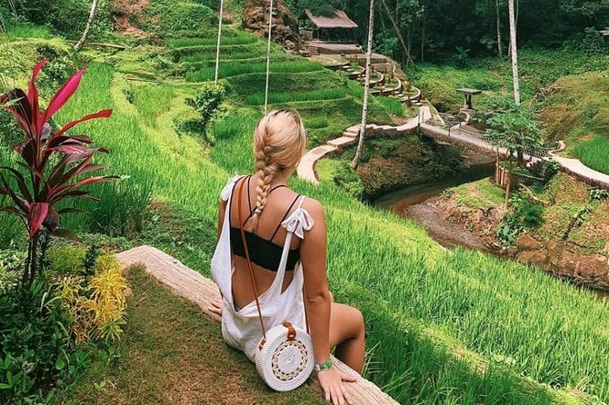 Ubud - Private Tour With Wifi Onboard - Tour Highlights and Itinerary