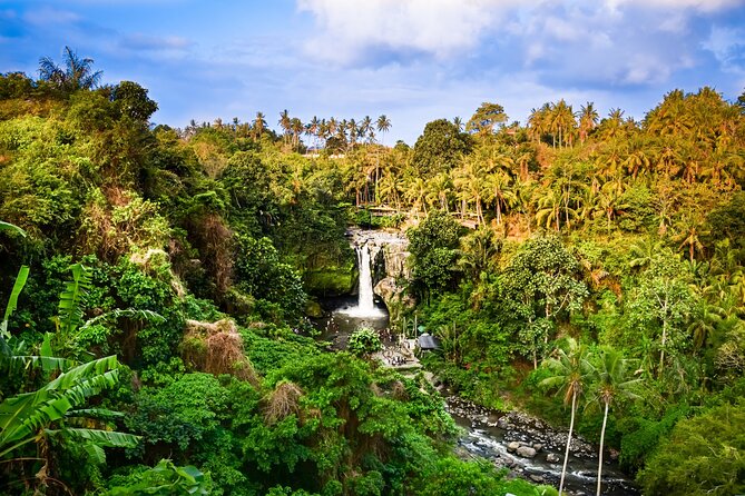 Ubud Private Tours - Health and Accessibility