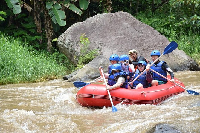 Ubud Rafting - Rice Terrace - Tegenungan Waterfall - Tanah Lot Sunset Temple - Rice Terrace Exploration