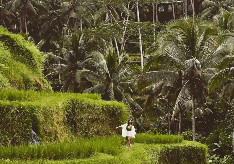 Ubud: Rafting, Swing, Waterfall & Melukat Inc Lunch & Ticket - Inclusions and Additional Options