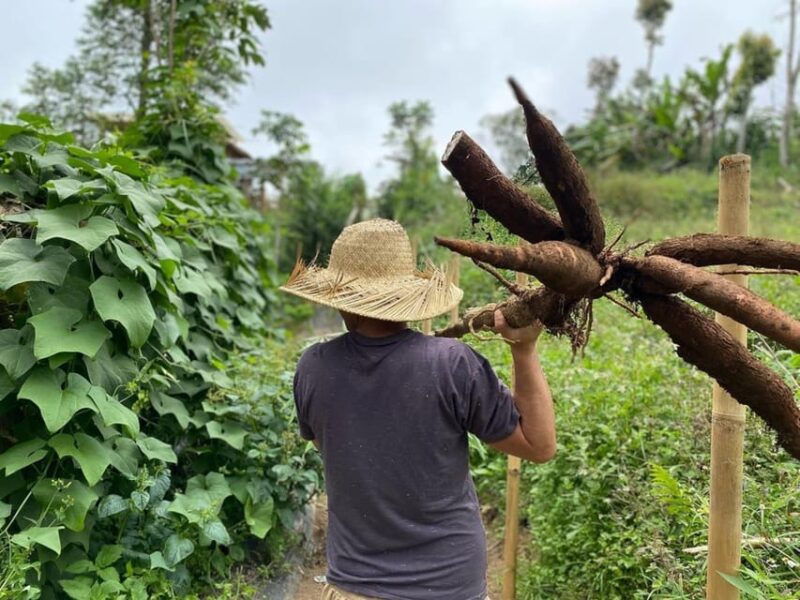 Ubud: Real Bali Farm Cooking Class & Market Visit - Itinerary Details