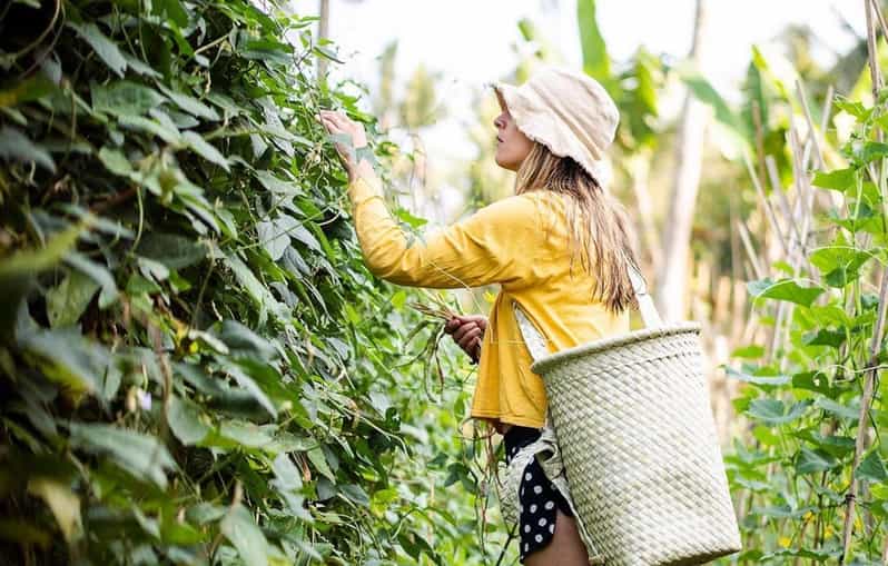 Ubud: Real Bali Farm Cooking Class & Market Visit - Desire to Learn