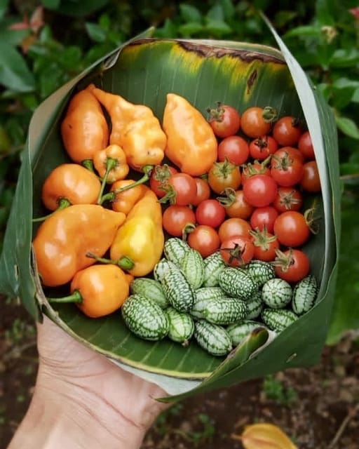 Ubud: Real Bali Farm Cooking Class & Market Visit - Frequently Asked Questions