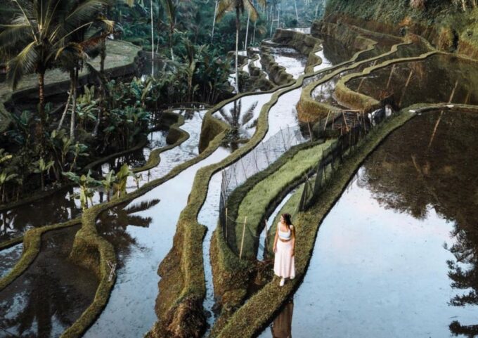 Ubud: Rice Terrace, Holy Water Temple & Waterfalls Trek Tour - Exploring Tegalalang Rice Terrace
