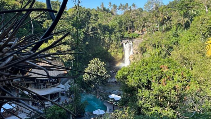 Ubud: Rice Terrace, Monkey Forest, Holy Temple & Waterfall - Exploring Monkey Forest