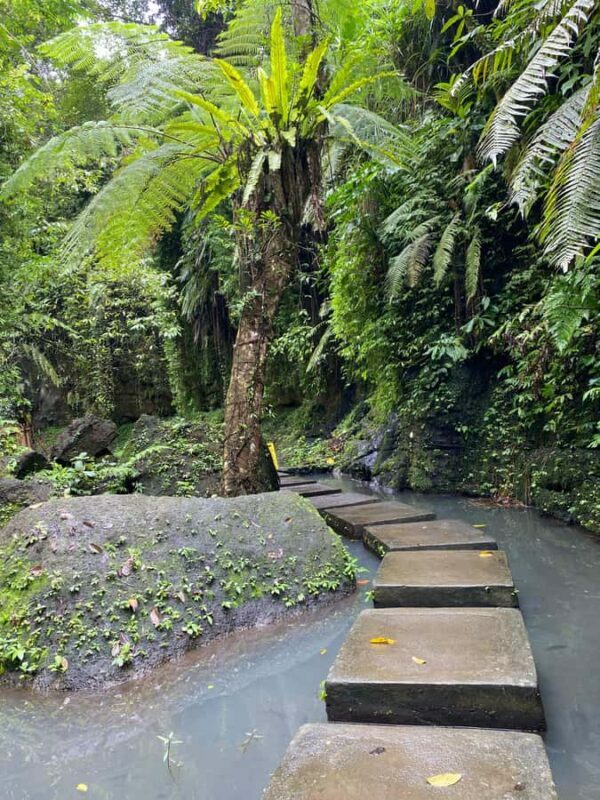 Ubud: Rice Terrace, Monkey Forest, Temple, & Waterfall - The Experience in Context: What It Means for You
