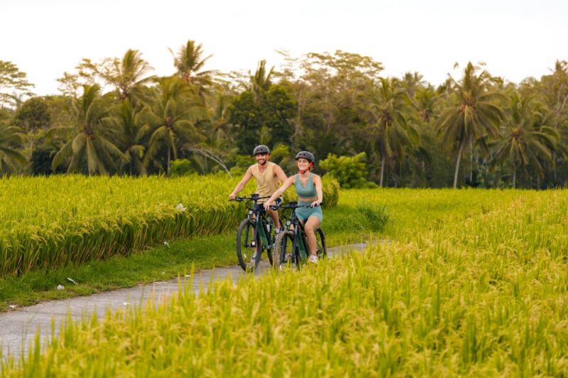 Ubud Rice Terrace & Villages E-Bike Tour by Alasan Adventure - Key Points