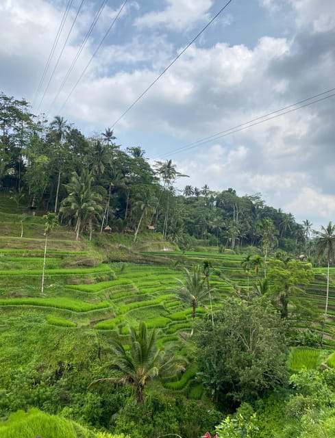 UBUD: Rice Terrace, Waterfall & Water Temple PRIVATE TOUR - Inclusions