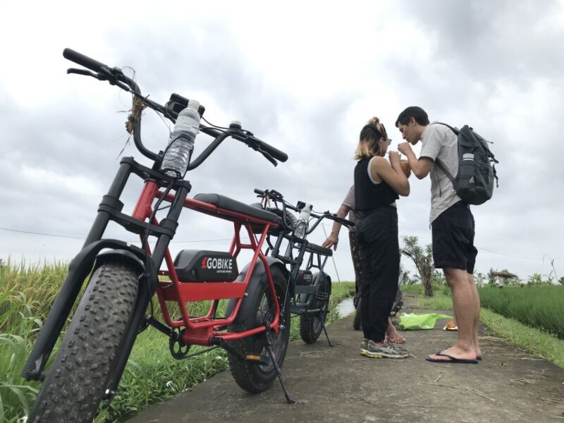 Ubud: Rice Terraces & Villages Half-Day Fat Tire E-Bike Tour - Inclusions