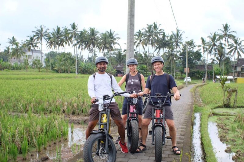 Ubud: Rice Terraces & Villages Half-Day Fat Tire E-Bike Tour - Tour Highlights