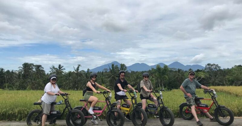 Ubud: Rice Terraces & Villages Half-Day Fat Tire E-Bike Tour - Important Information