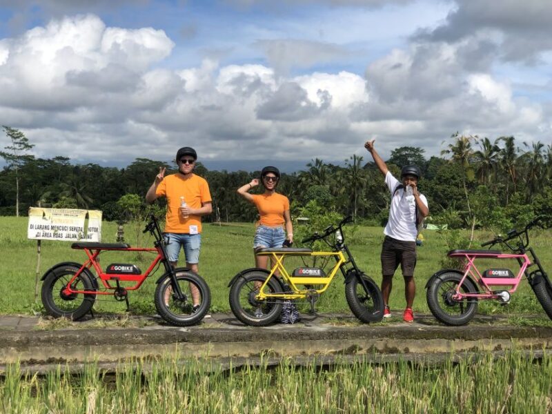 Ubud: Rice Terraces & Villages Half-Day Fat Tire E-Bike Tour - Customer Feedback