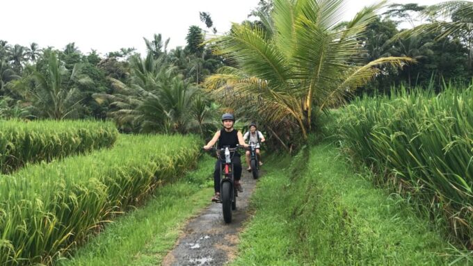 Ubud: Rice Terraces & Villages Half-Day Fat Tire E-Bike Tour - Explore Tegallalang Rice Terraces