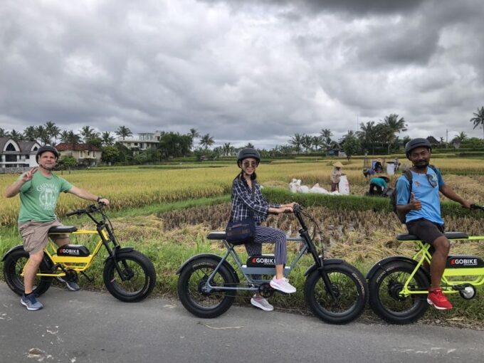 Ubud: Rice Terraces & Villages Half-Day Fat Tire E-Bike Tour - Discover Local Village Life