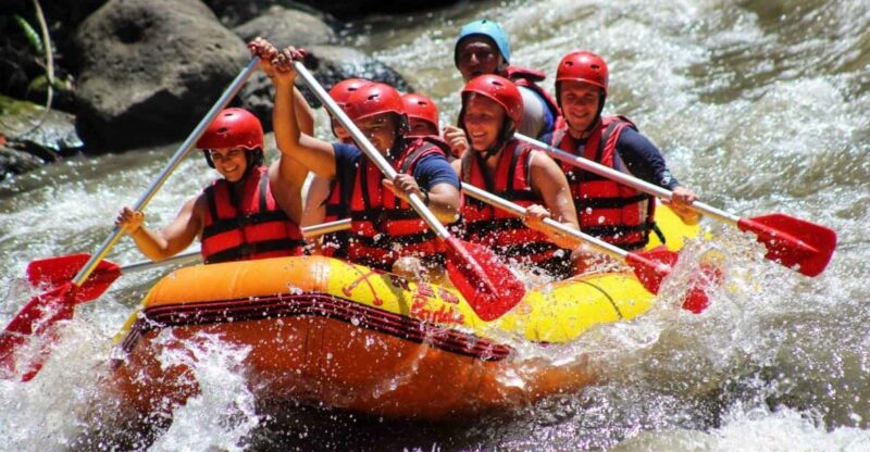 Ubud: River Rafting Adventure Include Buffet Lunch - Key Points
