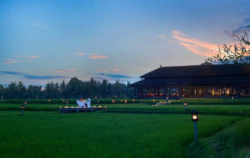 Ubud: Romantic Dinner among the Rice Fields - Key Points