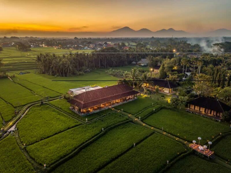 Ubud: Romantic Dinner among the Rice Fields - The View and Nighttime Atmosphere