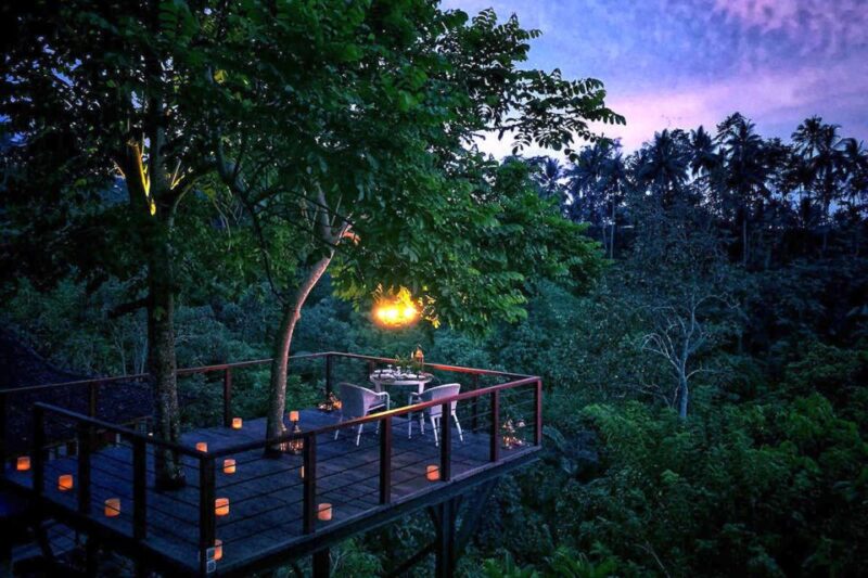Ubud: Romantic Dinner on a Forest Tree Deck - Atmospheric Setting