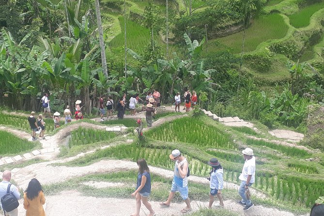 Ubud Romantic Floating Lunch Jungle Swing and Waterfall - Memorable Moments and Social Media Opportunities
