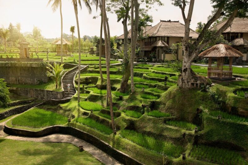 Ubud: Romantic Photo Moments on a Boat - Photographic Opportunities