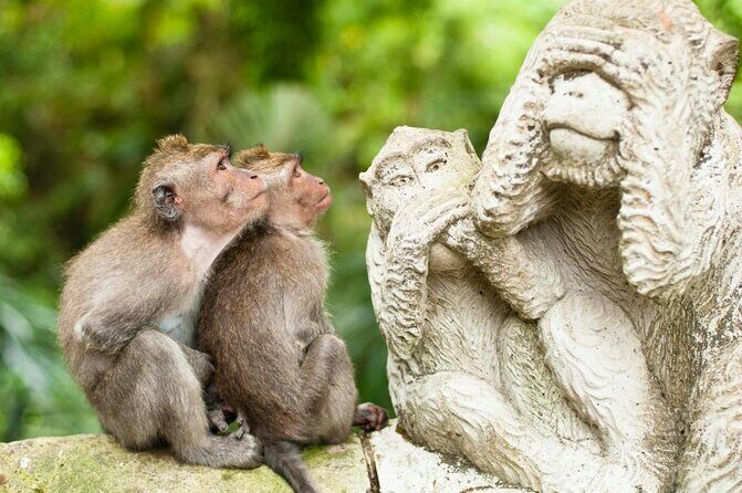 Ubud Sacred Monkey Forest & Art Village Tour - Key Points