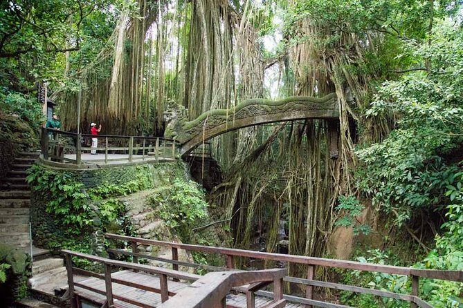 Ubud Sacred Monkey Forest & Art Village Tour - Exploring the Sacred Monkey Forest