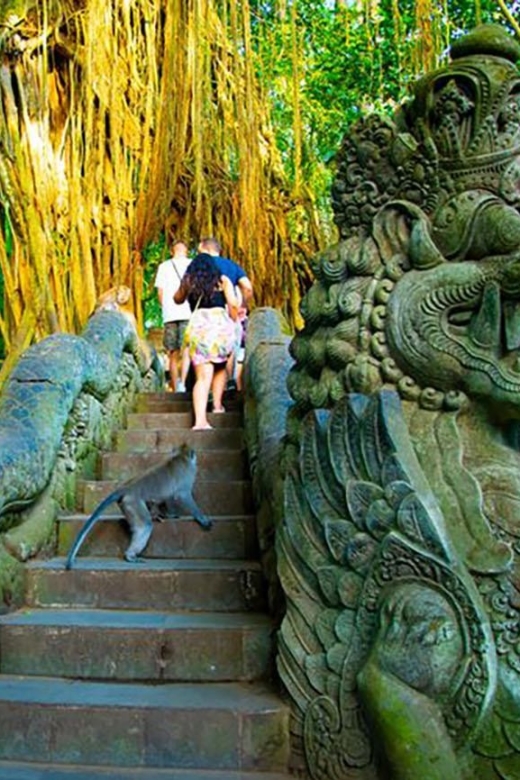 Ubud: Sacred Monkey Forest, Waterfall & Rice Terraces Tour - Itinerary Highlights