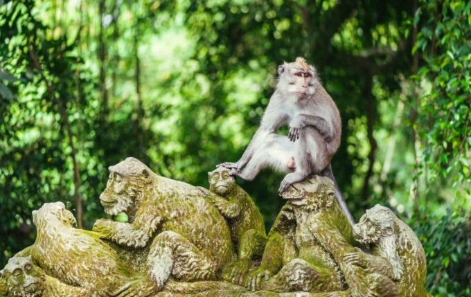 Ubud: Sacred Monkey Forest, Waterfall & Rice Terraces Tour - Pickup and Drop-off Locations