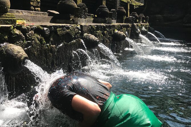 Ubud Sightseeing, Holy Water Temple & Waterfall - Additional Information