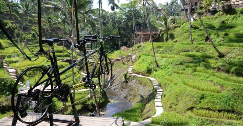 Ubud: Sky Bike Adventure, Swing & Rice Terrace With Transfer - Transfer and Customization Options