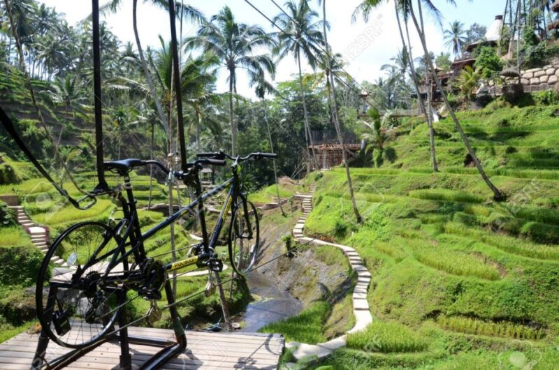 Ubud: Sky Bike Adventure, Swing & Rice Terrace With Transfer - What to Expect