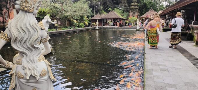 Ubud Solo Bike Tour !!! Swing ,Monkey Forest ,Tirta Empul - Picturesque Landscape Cruise