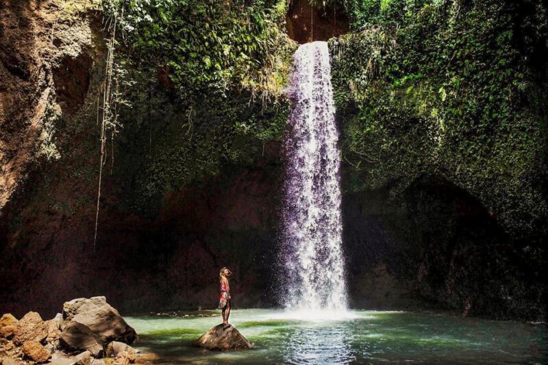 Ubud: Spectacular Waterfalls Tour - Inclusions and Optional Add-ons